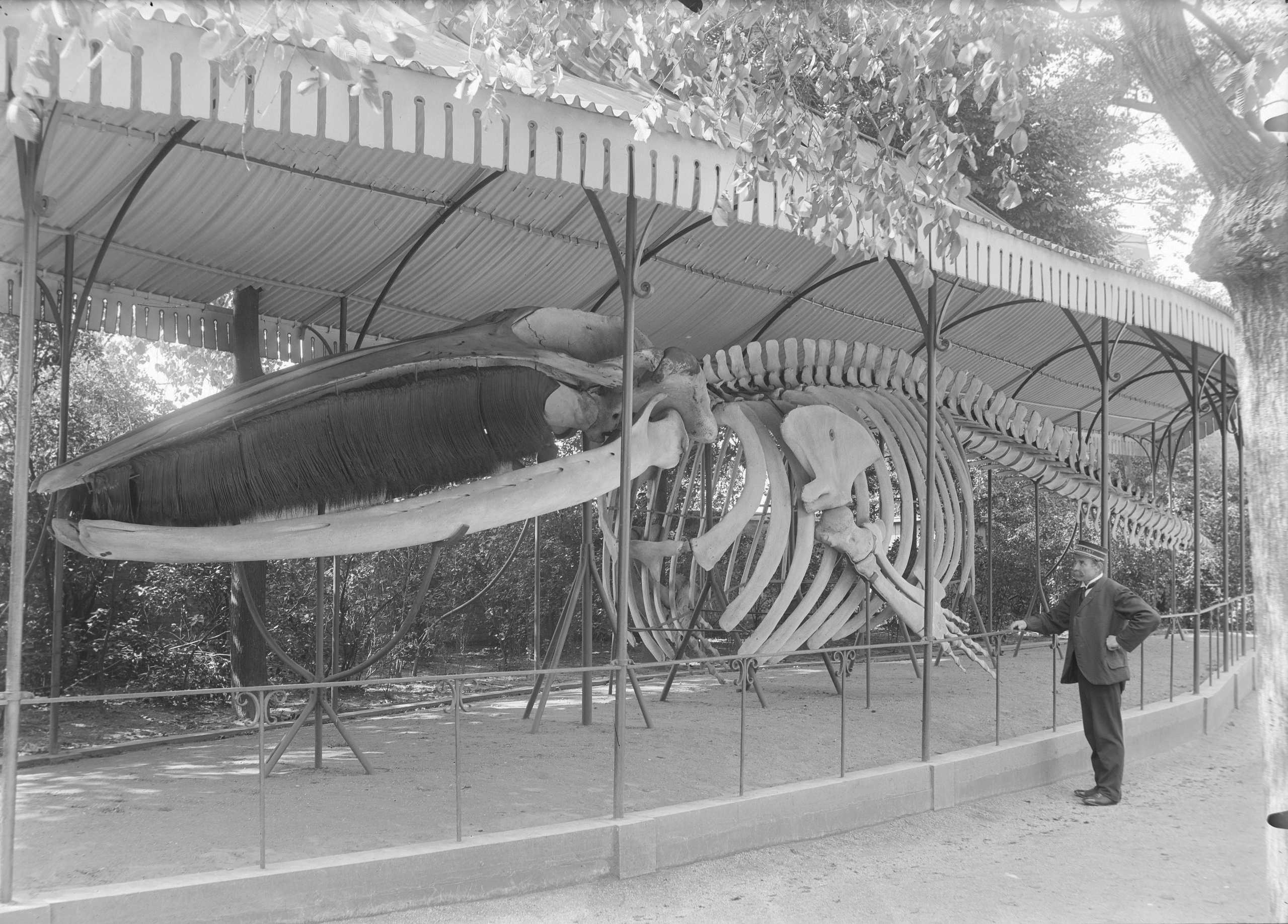 Intro scenic image of the zoo