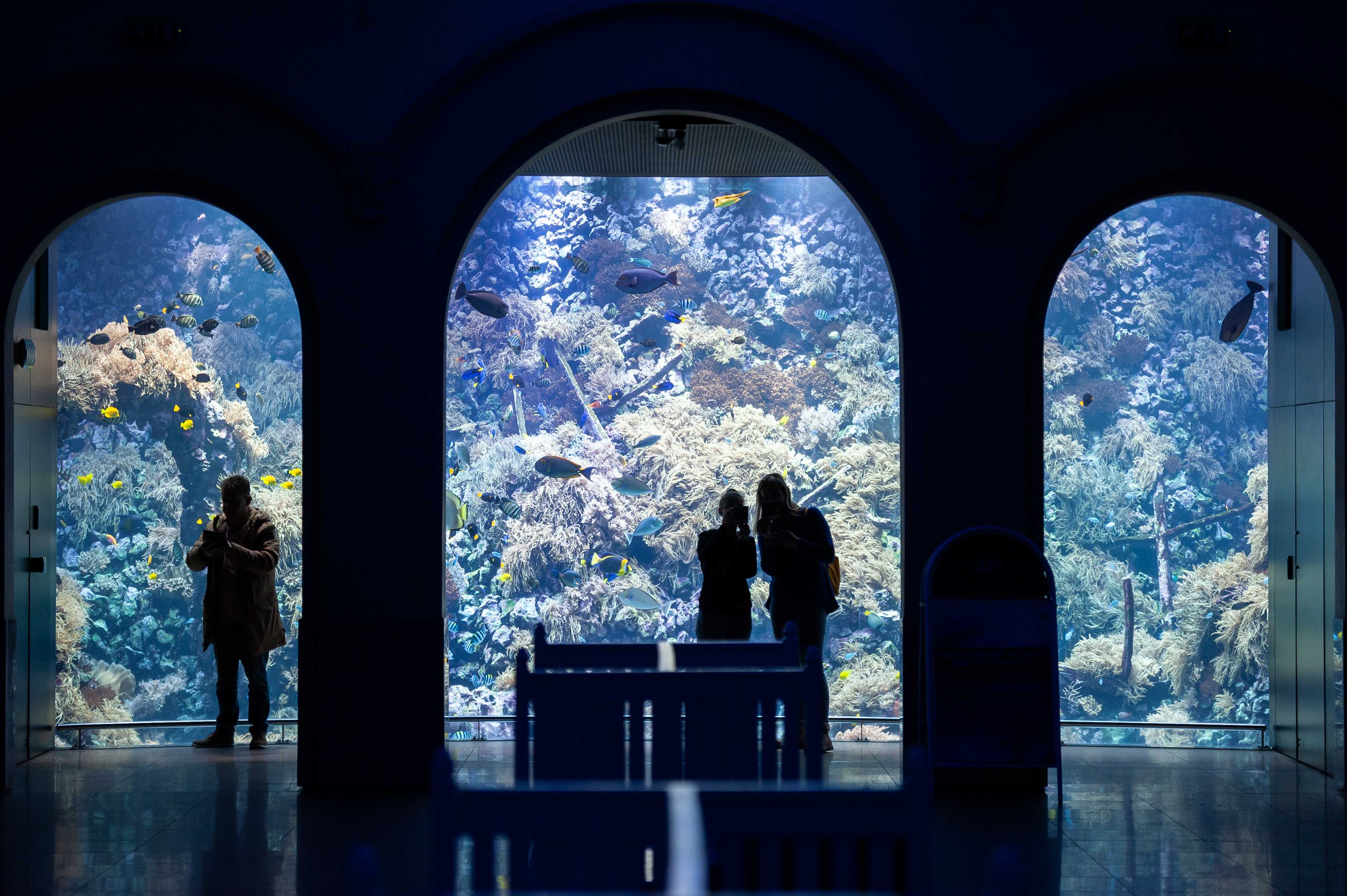 Intro scenic image of the zoo